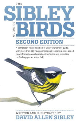 THE SIBLEY GUIDE TO BIRDS - SIBLEY. DAVID ALLEN